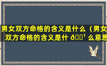 男女双方命格的含义是什么（男女双方命格的含义是什 🌹 么意思）